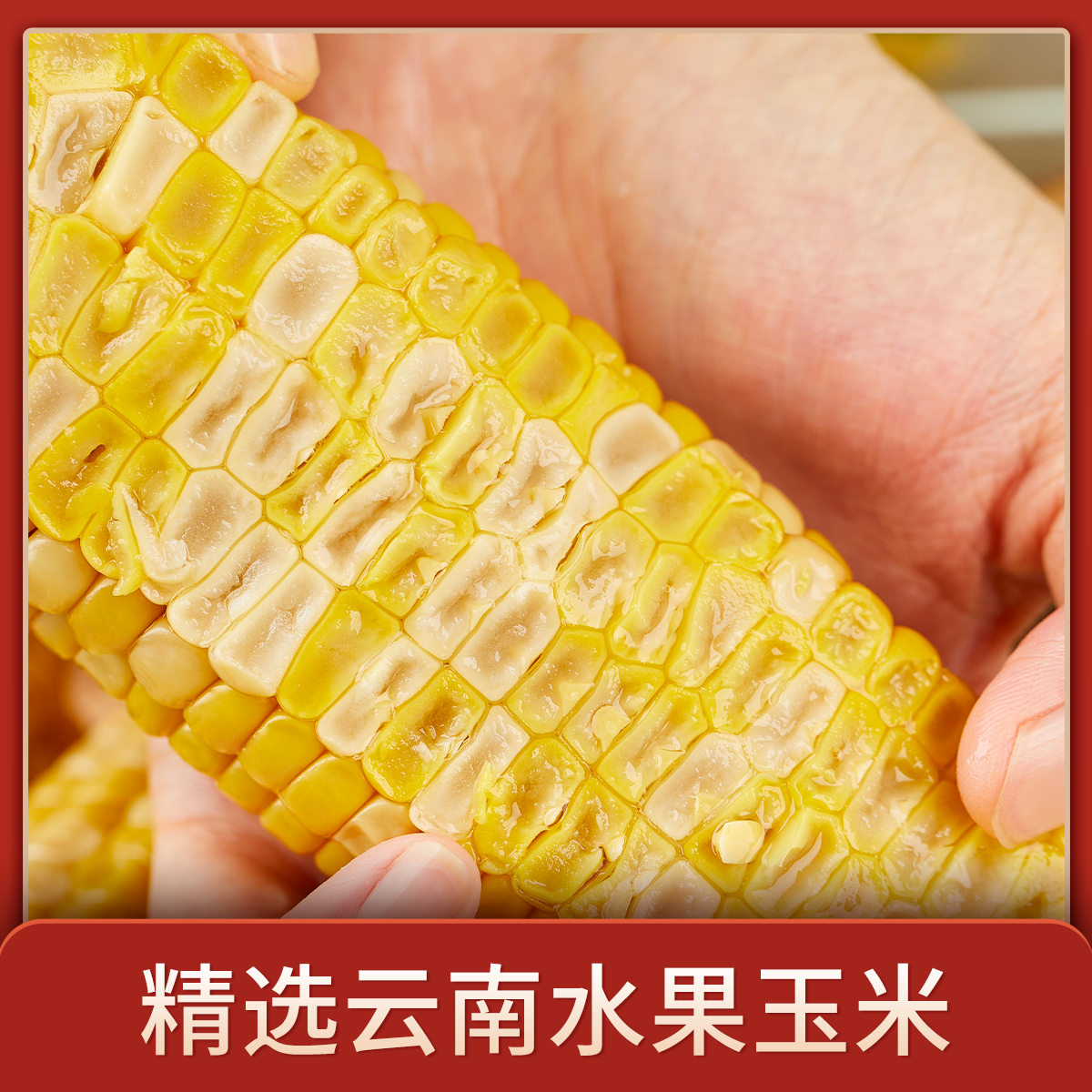 名邦礼玉水果玉米